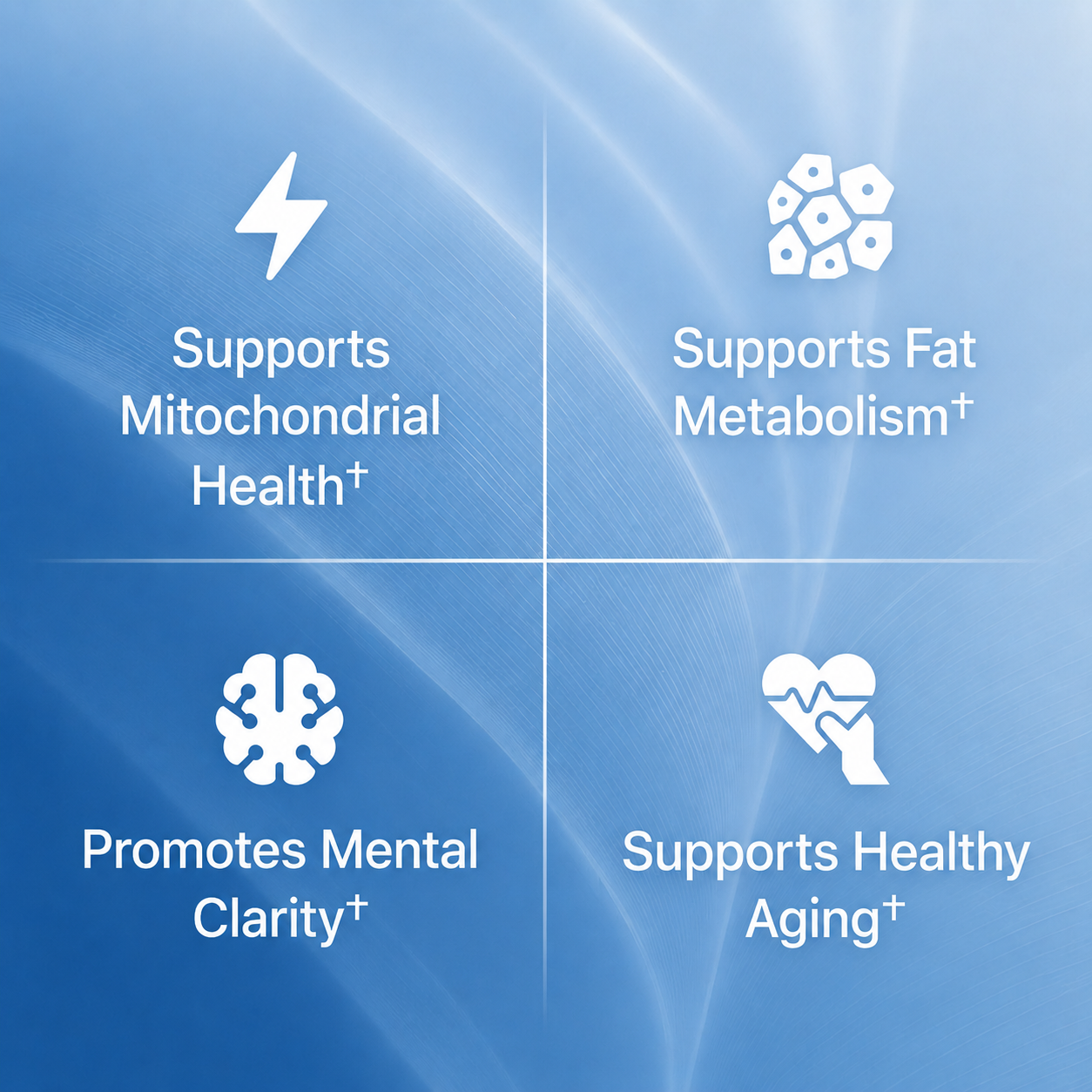NMN Capsules (NAD+ Boost)